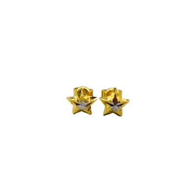 PAKU BINTANG earing PAKU BINTANG earing